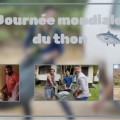 Nouvelle Photo du mois